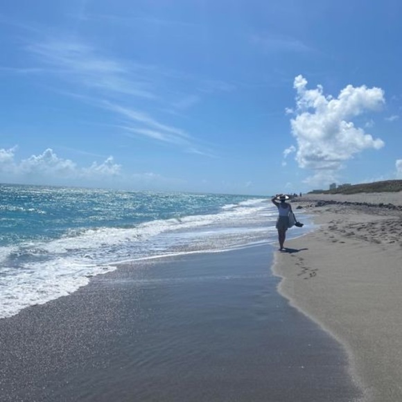 Meet your Posher, Nexla - Picture 1 of 1